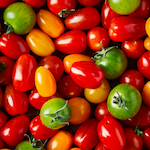 Fresh heritage tomatoes background
